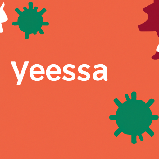 Průvodce půjčkami v ČR: Od hypoték po mikroúvěry